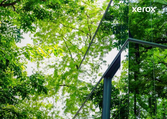 Riflesso di alberi visibili nella facciata in vetro di un edificio moderno, che crea un'armoniosa miscela di natura e architettura.